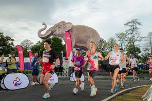 BIB: 
                            <button type="button" onclick="openModal(26528274)" class="btn btn-primary btn-sm float-right btn-popup" data-toggle="modal" data-target=".modal-high-quality">
                        <i class="fas fa-shopping-cart"></i> Add to Cart
                    </button>
                                            <button type="button" onclick="isThisMe(26528274, true)" class="btn btn-success btn-sm float-right btn-popup btn-isme hidden" data-toggle="tooltip" data-placement="bottom" title="นี่คือรูปของคุณใช่ไหม คลิกที่นี่เพื่อเอาเข้าอัลบั้ม">
                        <i class="fas fa-plus"></i> Add to album
                    </button>
                    <button type="button" onclick="isThisMe(26528274, false)" class="btn btn-warning btn-sm float-right btn-popup btn-isnotme hidden">
                        <i class="fas fa-ban"></i> Remove from album
                    </button>